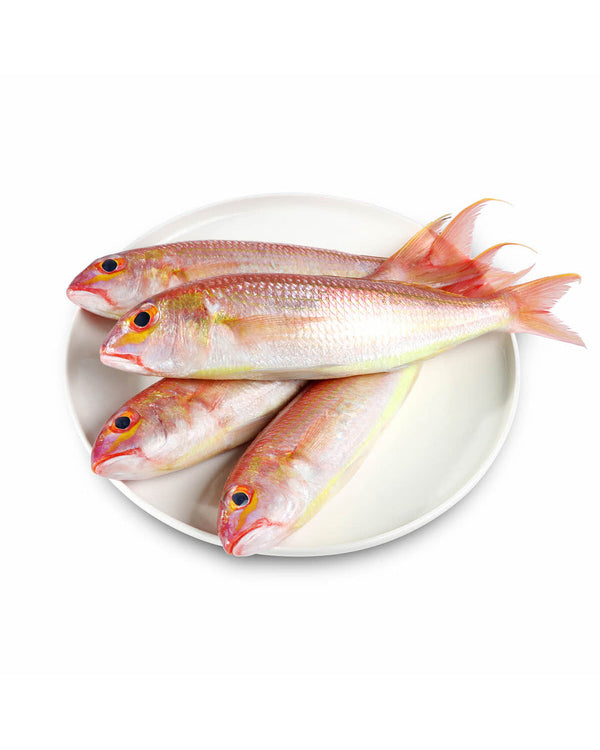 delagoa(local)(sulthanibrhim)