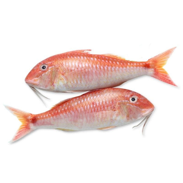 goatfish(local)(sulthan shanabu)