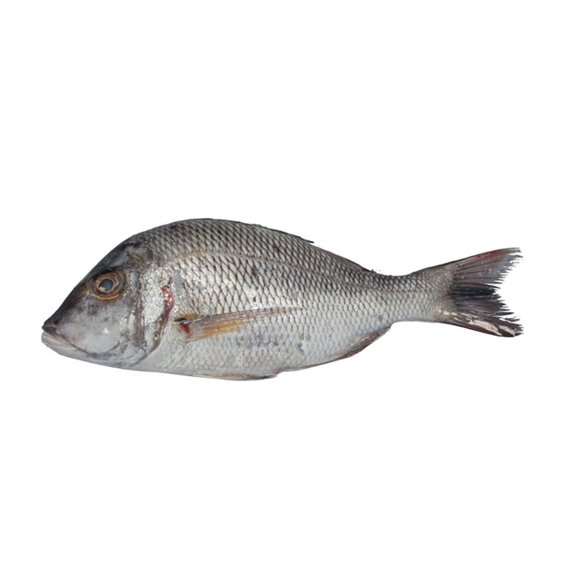 Sweet Lips - Farsh ( Local ) 1 Kg - 1 Pc