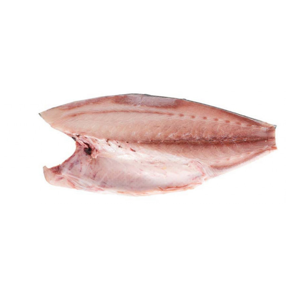 yellowtail(local)(zuraidi)