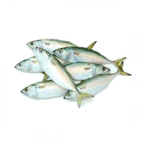 Makral (Oman) Garfa