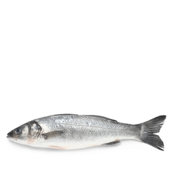 sea bass (turkey)(butter fly cut)