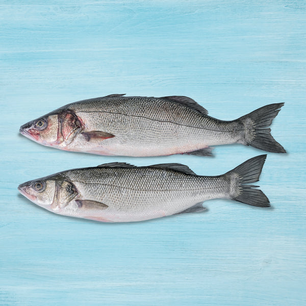 Sea bass (Turkey)