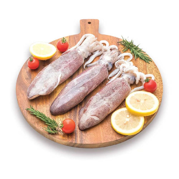 Squid 1 Kg - 8 Pcs