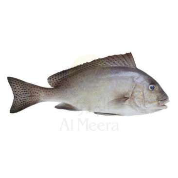 Sweet Lips - Farsh ( Local ) 1 Kg - 1 Pc