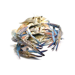 crab (local)(kabbobe)