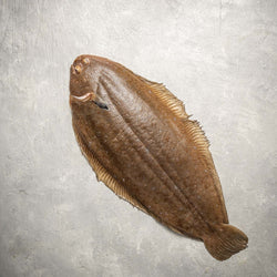 dover sole(local)( moosa)