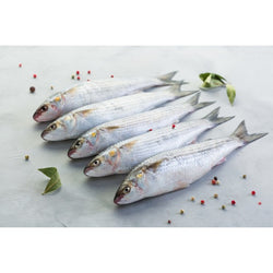 mullet (egypt)(boori)