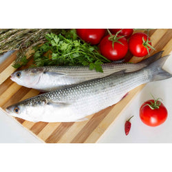mullet (local)  (biya)