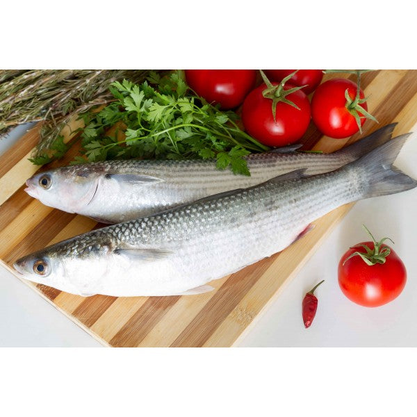 mullet (local)  (biya)