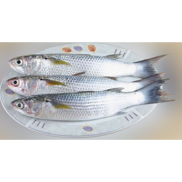 Mullet (local - biya) 1 Kg - 1pc