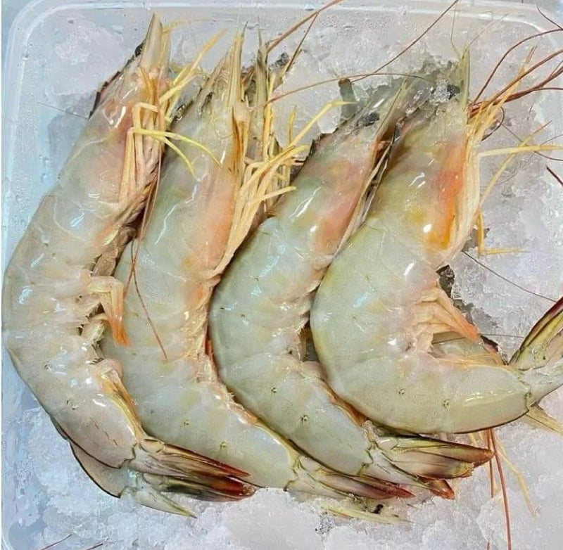 Shrimps Oman Red (18-20) 1 Kg