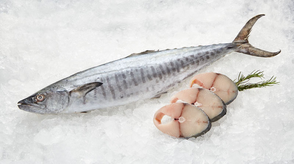 king fish( local)  (kanad)