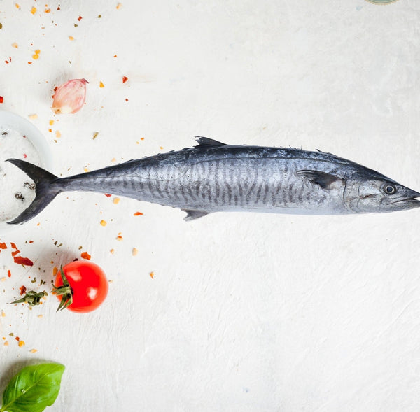 king fish( local)  (kanad)