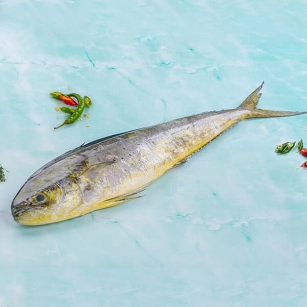 Anflooz ( Mahi Mahi ) - 2 Kg 1 Pcs