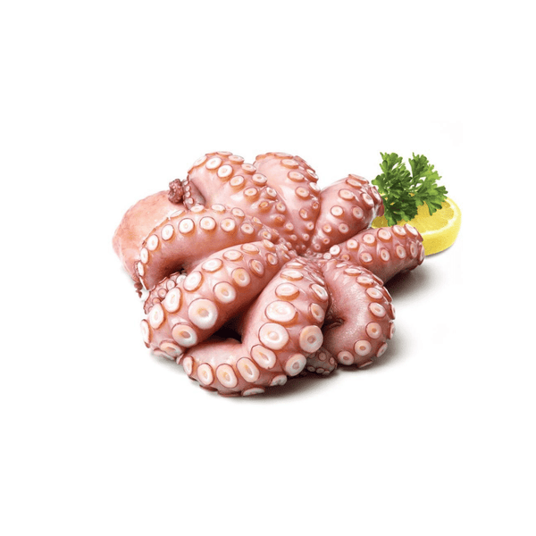 Octopus 2 Kg - 1 Pc