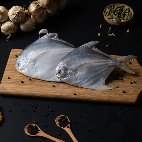 Silver Pomfret ( Kuwait ) 700 Gm - 1 Pcs