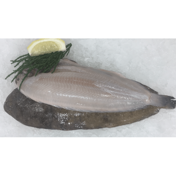 sole o(oman) (moosa)