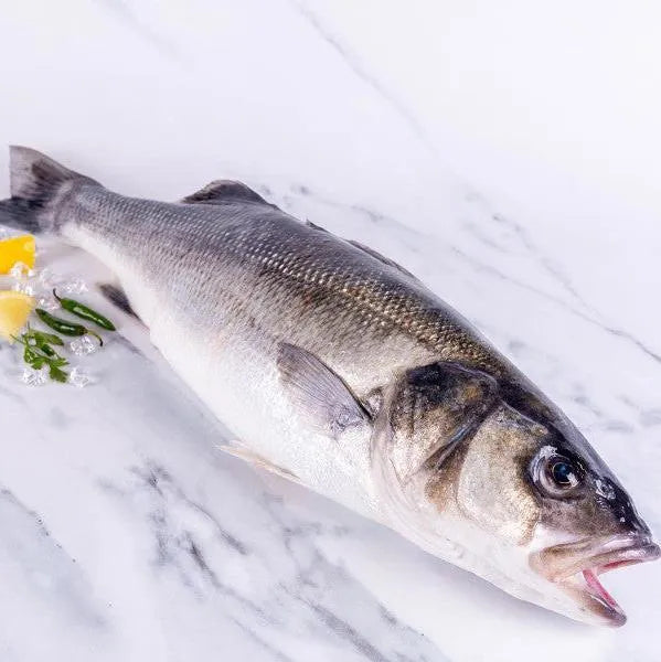 Sea bass (Turkey)