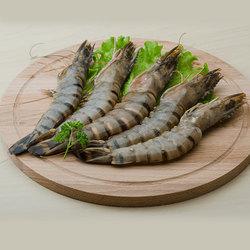 shrimps(oman)(rubiyan)