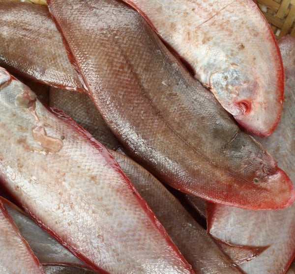 Sole (oman) 1 Kg - 4pc