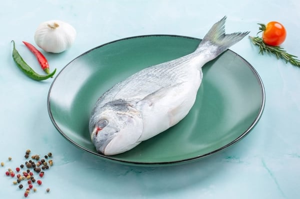 sea bream (turkey) (fillet)(skin on)
