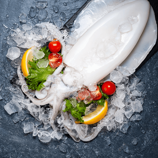 Cuttle Fish 1 Kg - 1 Pc