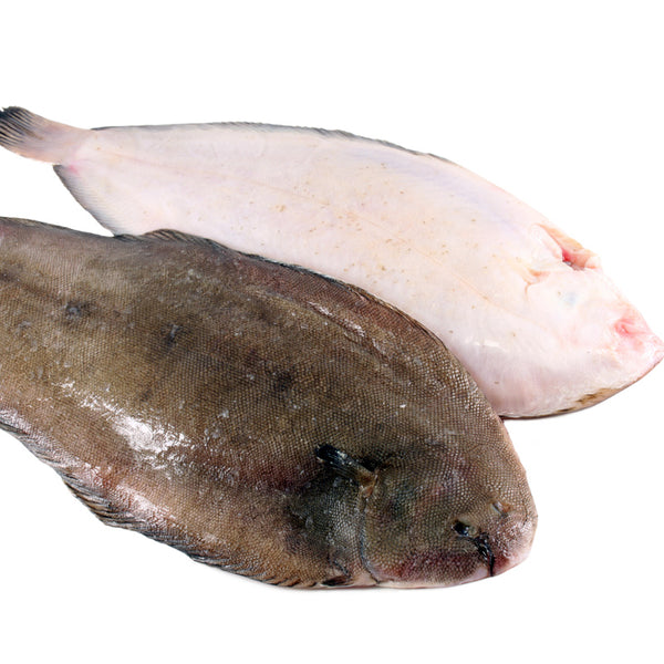 dover sole(local)( moosa)