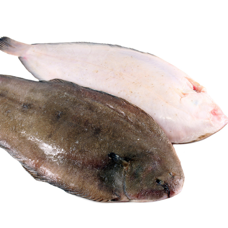 dover sole(local)( moosa)