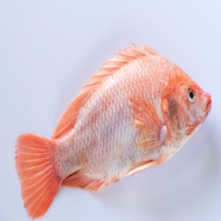 Koffer (local) 1 Kg - 2 Pcs