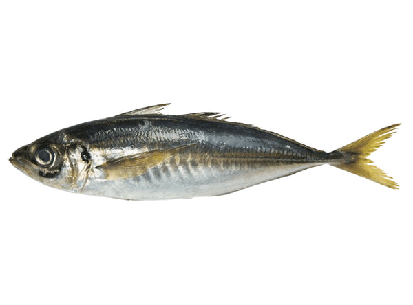 Makral (Local) Garfa