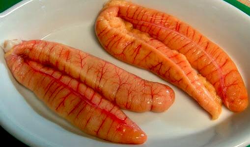 Fresh Fish Eggs King Fish 1 Kg