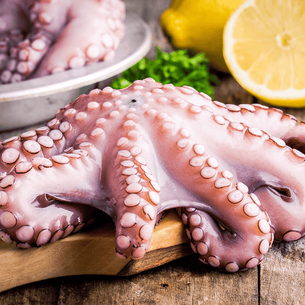 Octopus 2 Kg - 1 Pc