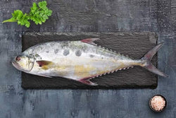 queen fish(local)(bazar)