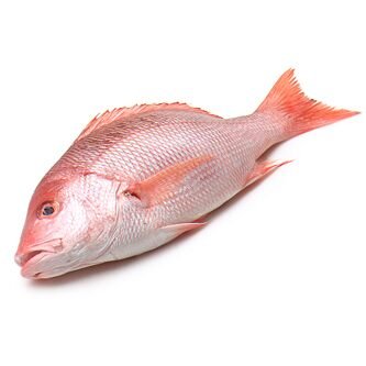 red snapper (local)(hamra)