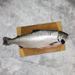 Salmon (Nor wegian)