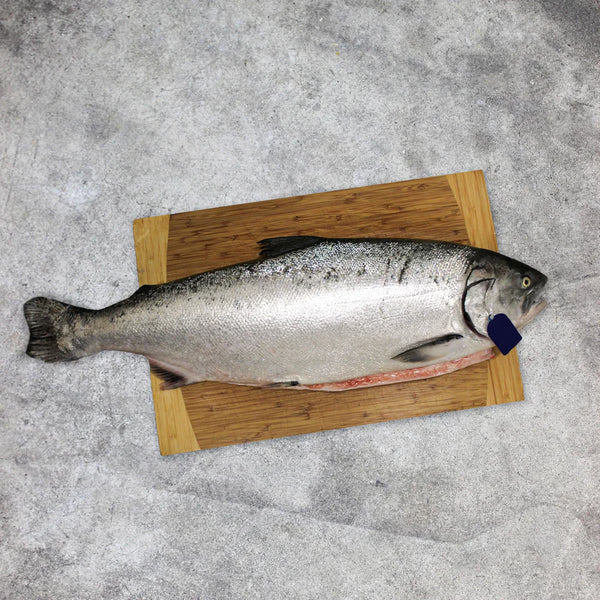 Salmon (Nor wegian)