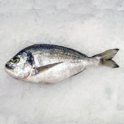 sea bream  (turkey)(butterfly cut)
