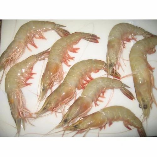 Shrimps Oman Red (18-20) 1 Kg
