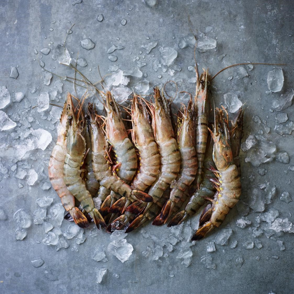 Tiger Prawns Oman (U 10) 1 Kg