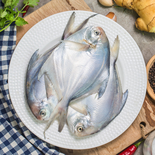 Silver Pomfret ( Kuwait ) 700 Gm - 1 Pcs