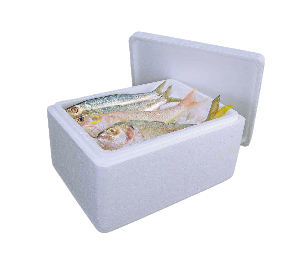Turkish Box – Fishhub