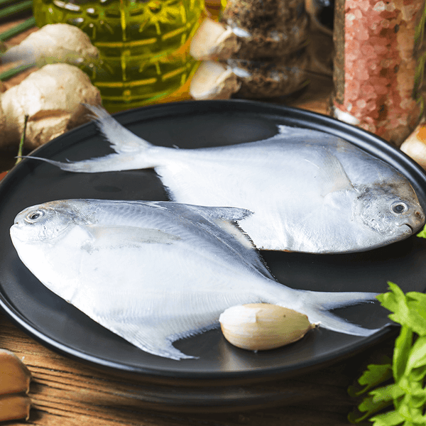 Silver Pomfret ( Kuwait ) 700 Gm - 1 Pcs